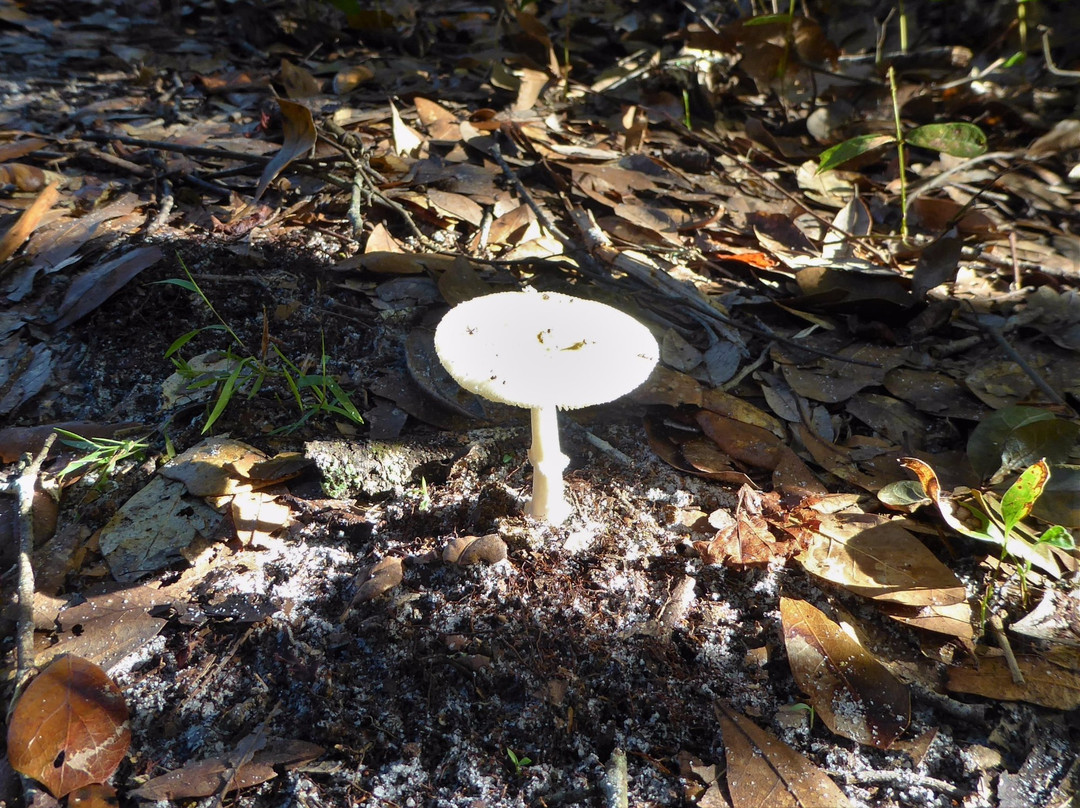 Crooked River Preserve-Clermont必去景点