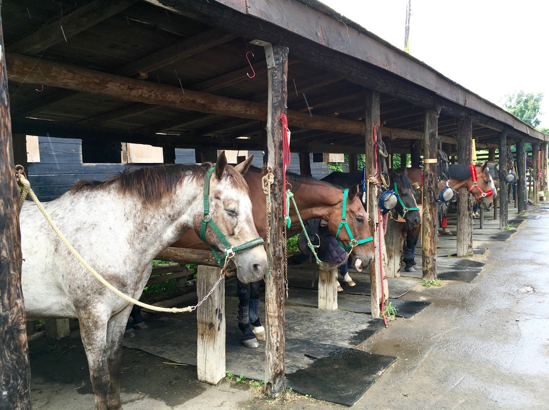 Frontier Horseback Riding Club-石狩市必去景点