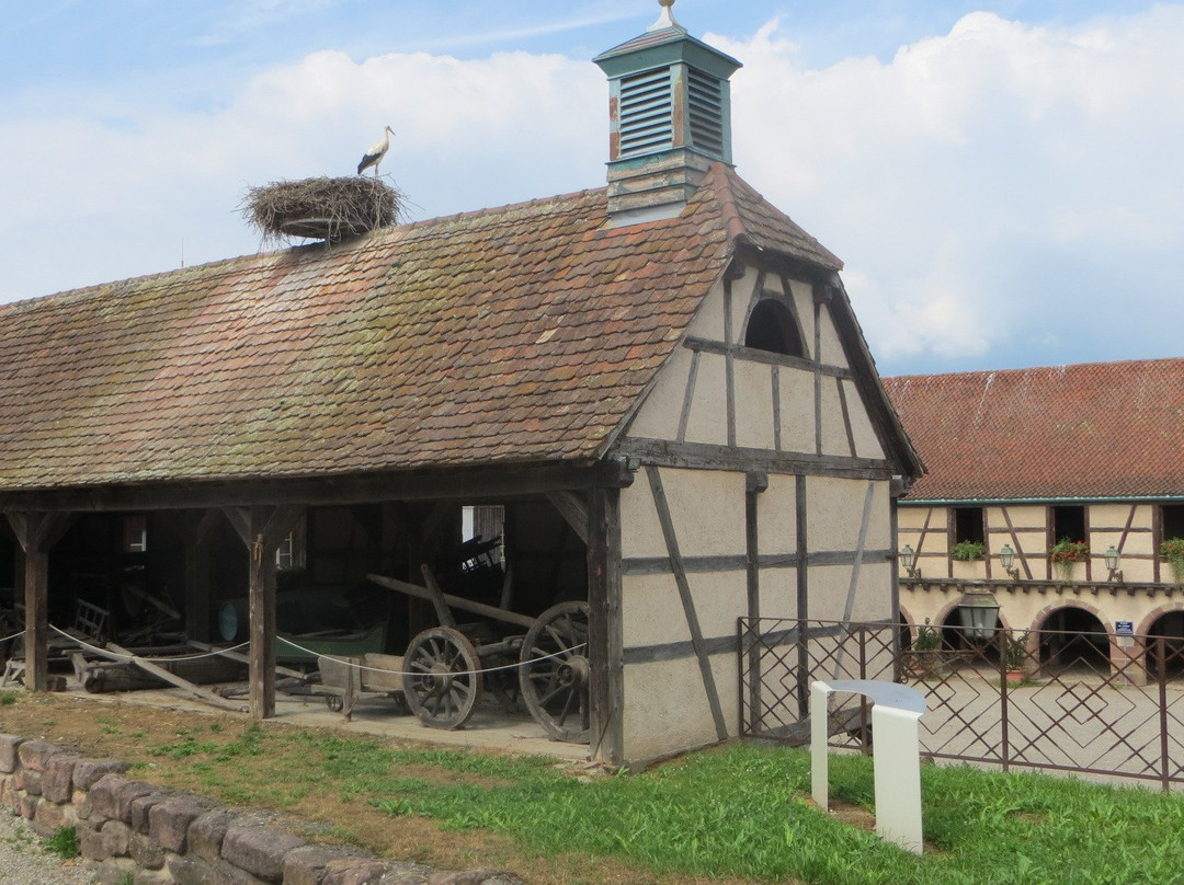Parc Attractions Haut Rhin-科尔马必去景点