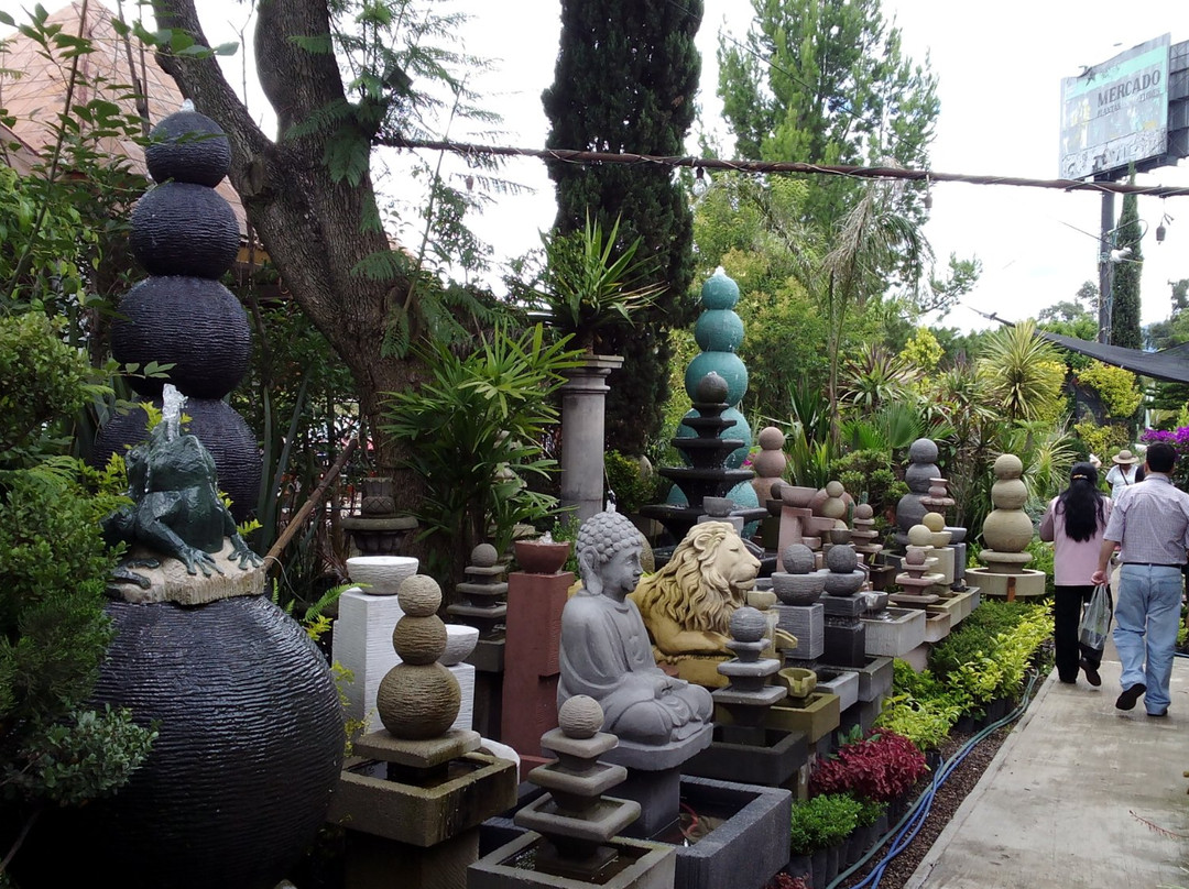 Mercado de Flores-墨西哥城必去景点