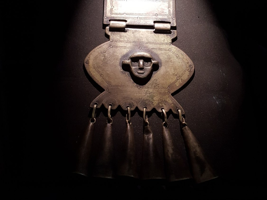 Museo Regional de la Araucania-特木科必去景点