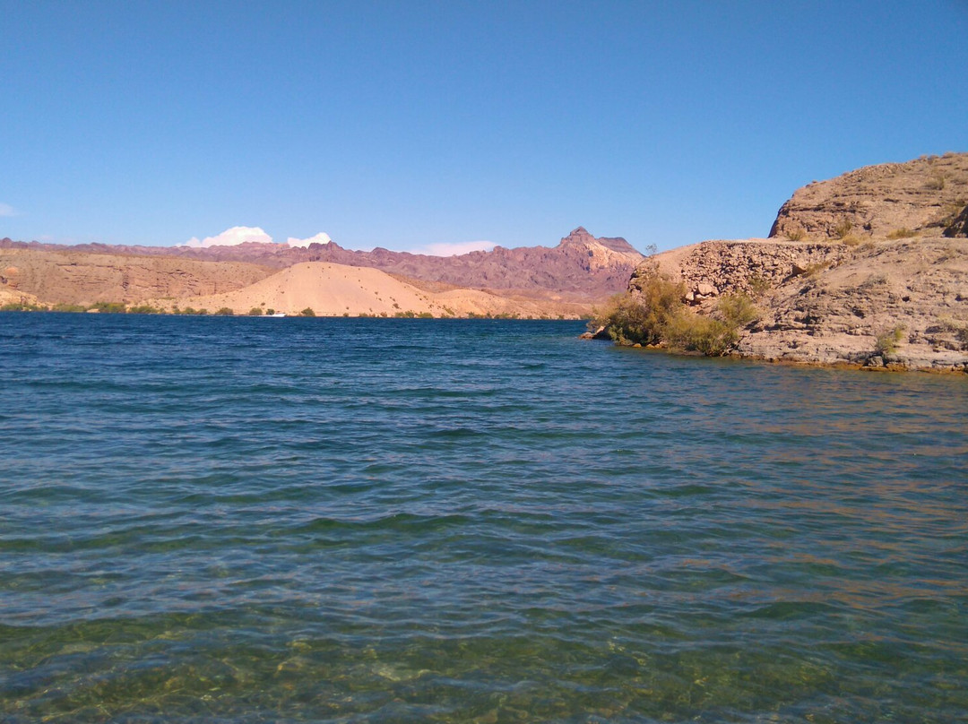 Nelson's Landing Cliff Jumping-Nelson必去景点