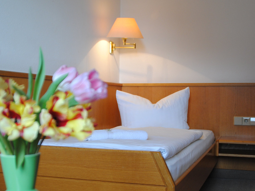 Flair Hotel Kamenz主图