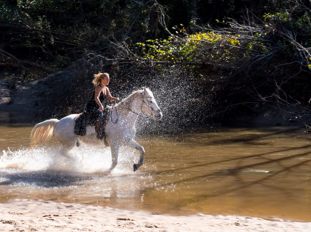 Pundt Park-斯普林必去景点