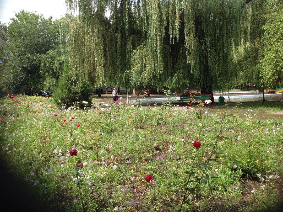 City Park景点图片