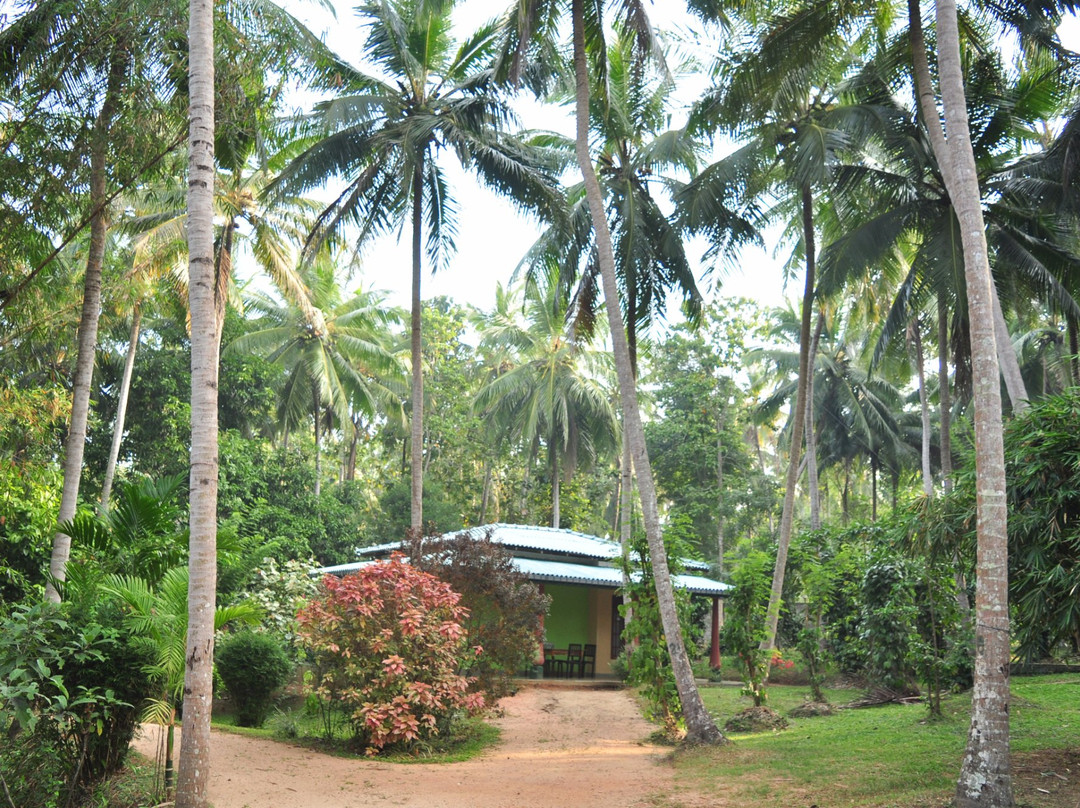 苏巴兰卡度假村主图