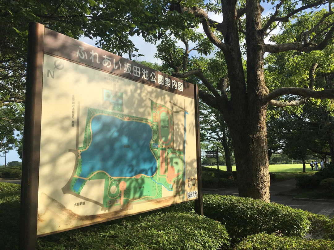 Fureai Sakataike Park-横芝光町必去景点
