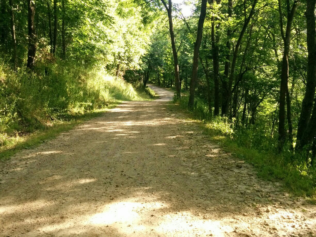 Yellow River State Forest景点图片