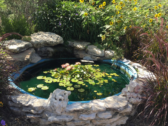 Garden of Eden-Eden必去景点