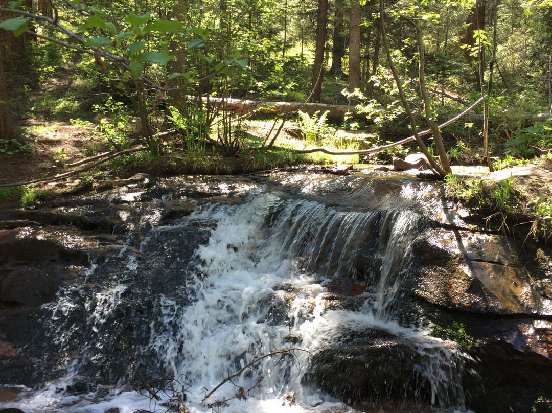 Maxwell Falls-Evergreen必去景点