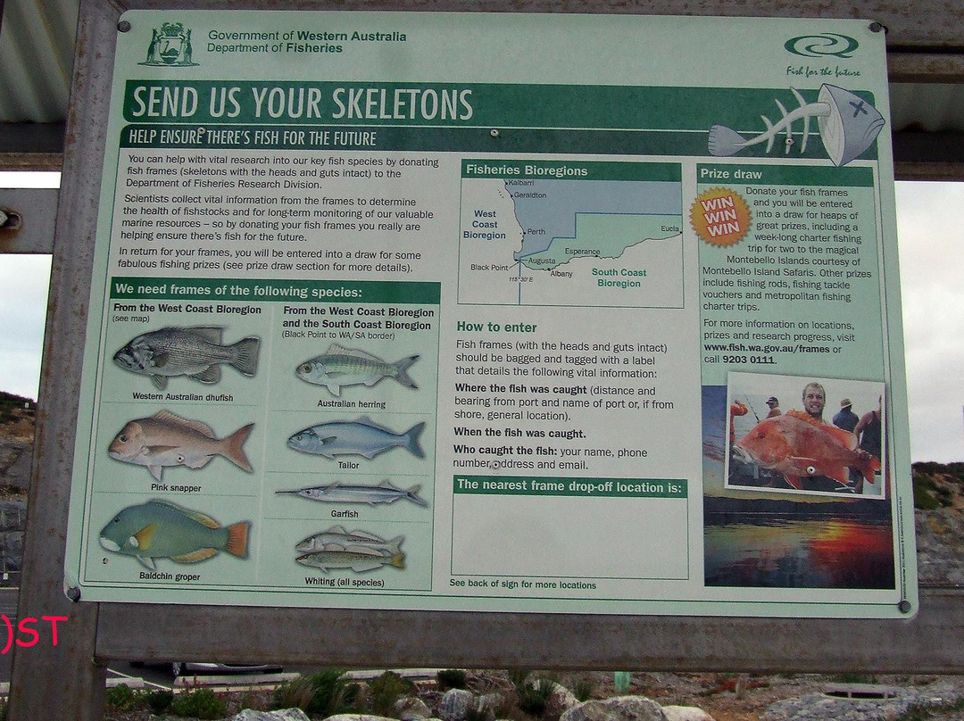 Augusta Boat Harbour-奥古斯塔必去景点