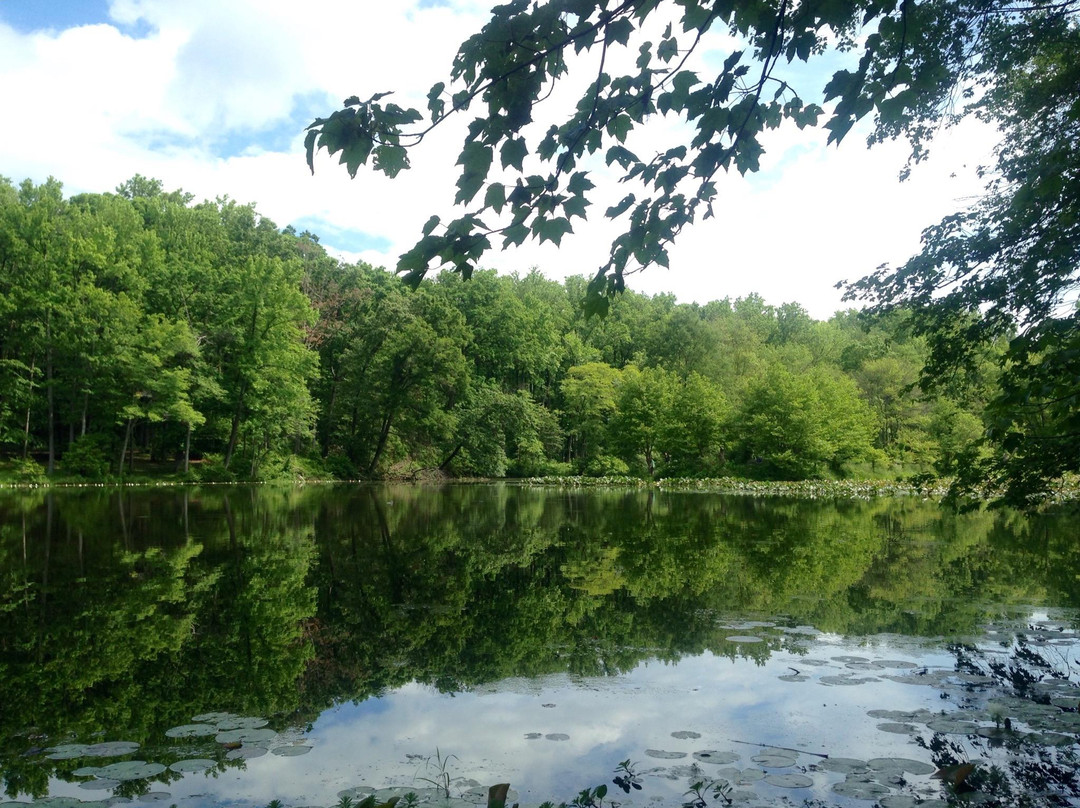 格林贝尔特旅游攻略图片