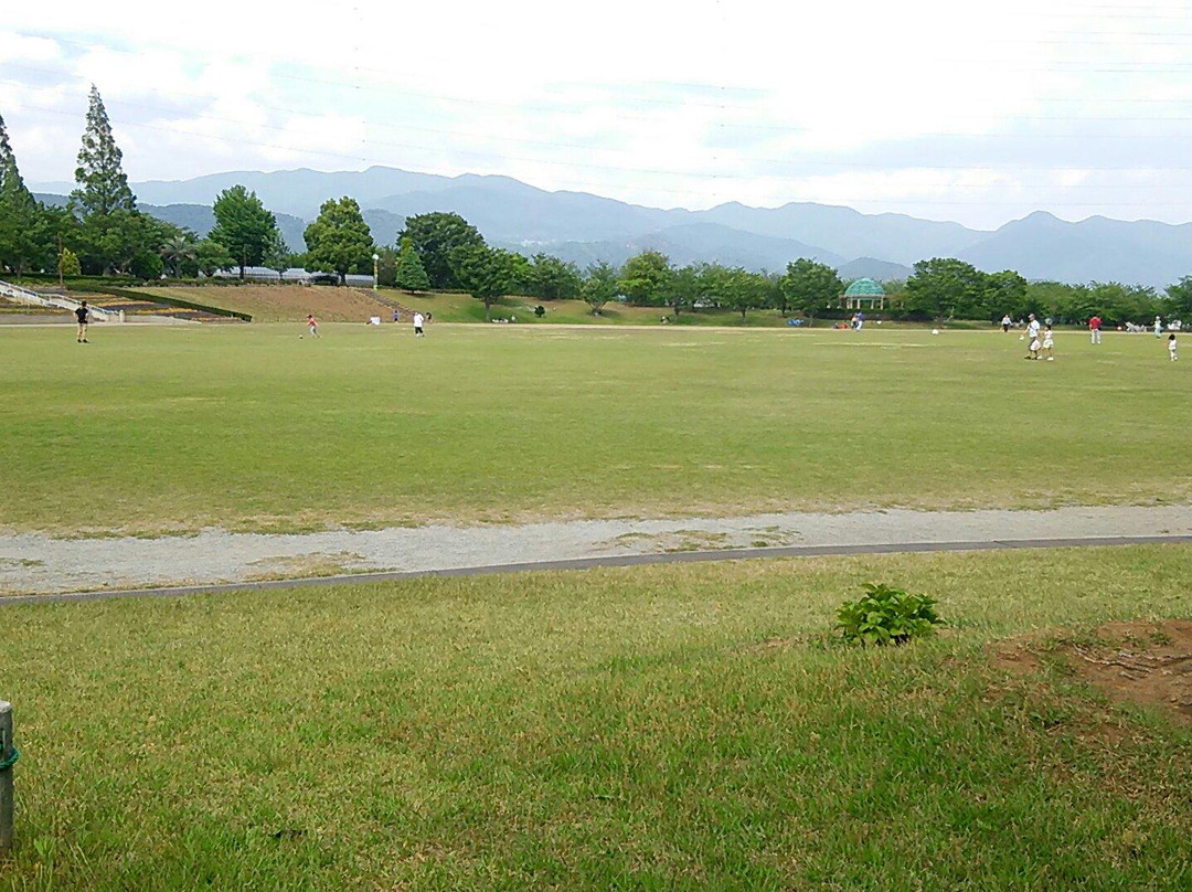 Dragon Park (Akasakadai Sogo Park)景点图片