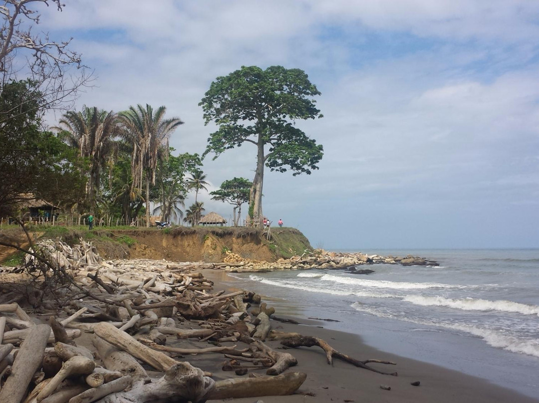 Arboletes旅游攻略图片