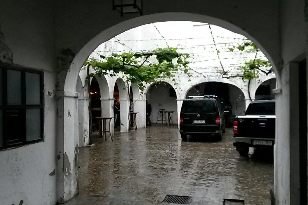 Bodegas Miguel Guerra-奇克拉纳－德拉弗龙特拉必去景点