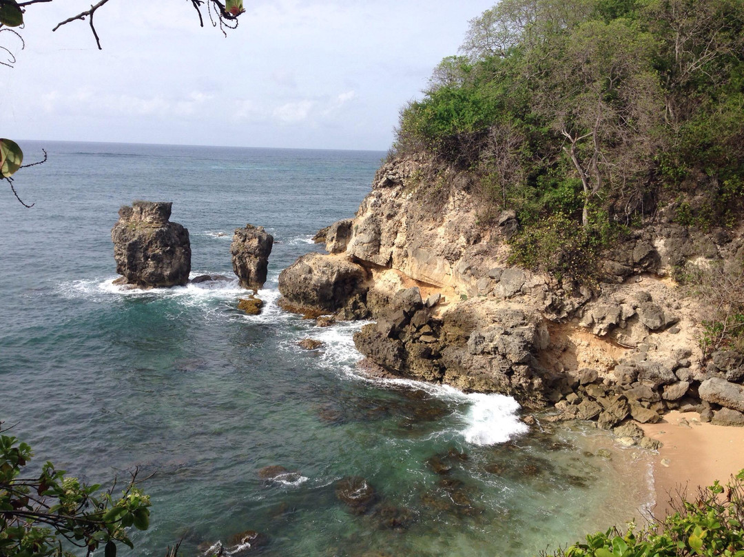 Little Bay-Saint Lucy Parish必去景点
