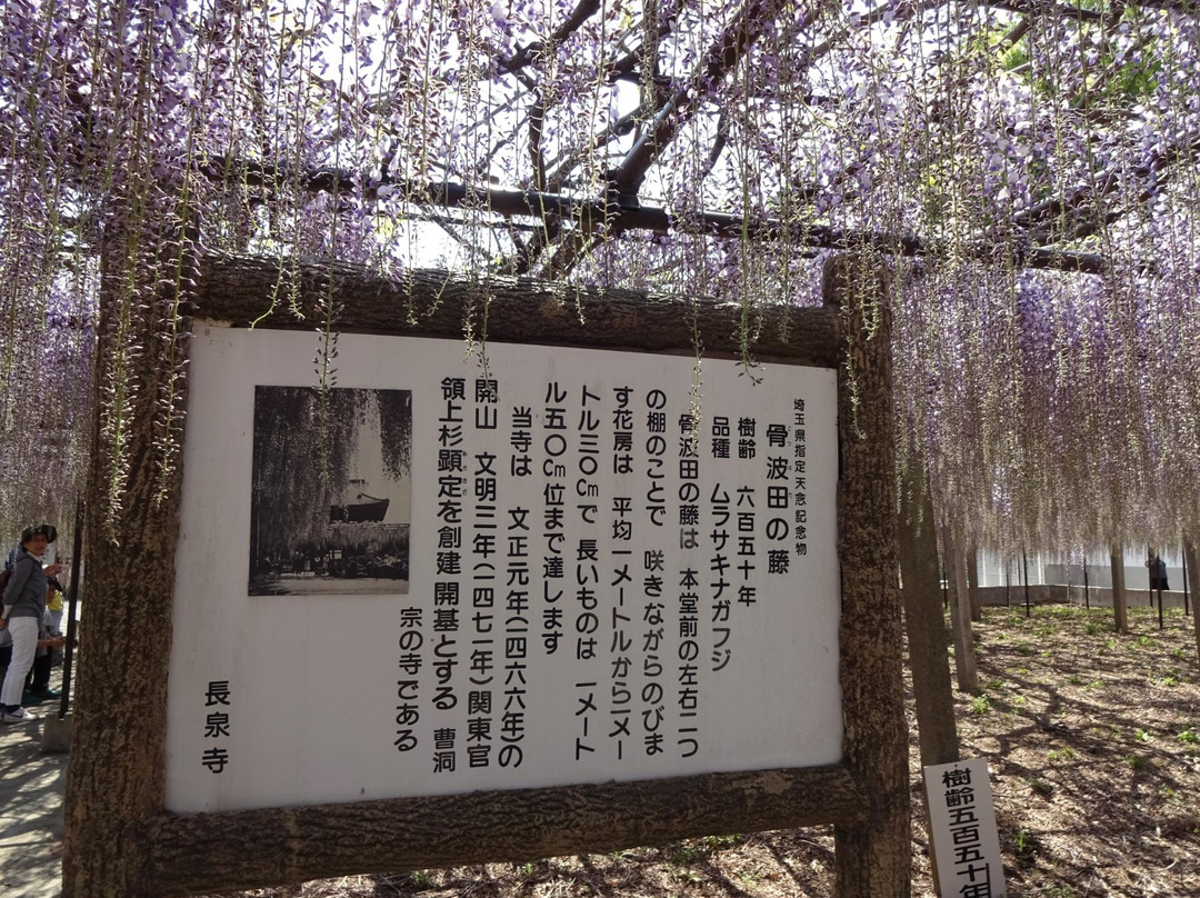 Tyosenji Temple-本庄市必去景点