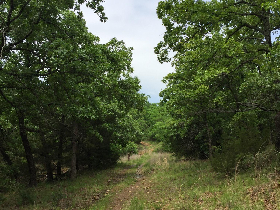 Arrowhead State Park-Canadian必去景点