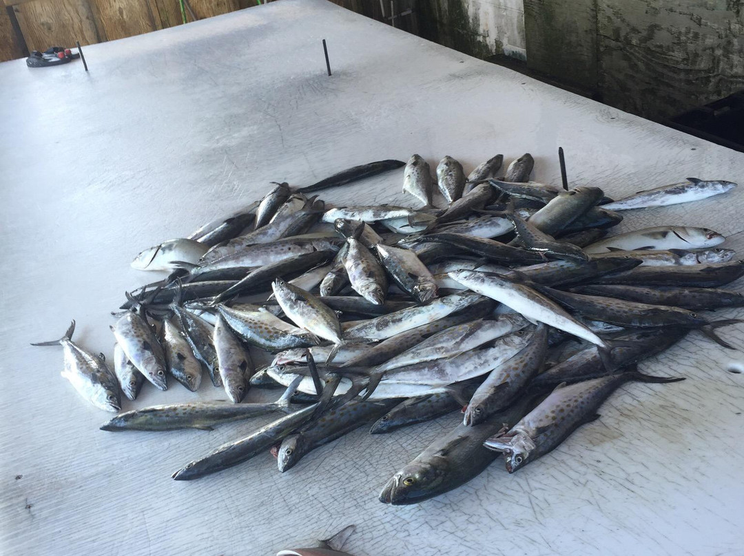 The Hook Up Charter-Hatteras必去景点