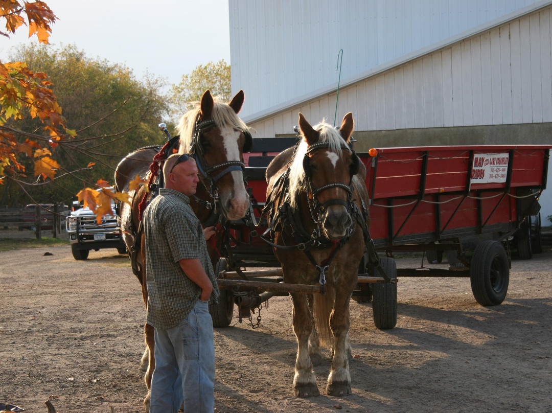 Skyrock Farm-Medina必去景点