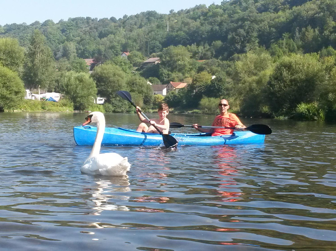 Ronn's Bikes and Kayaks-Wallendorf Pont必去景点