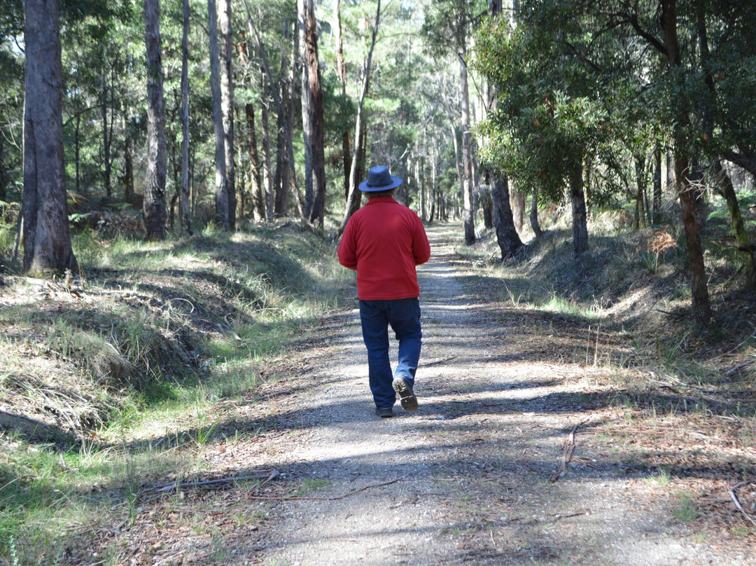 Domino Trail-Trentham必去景点