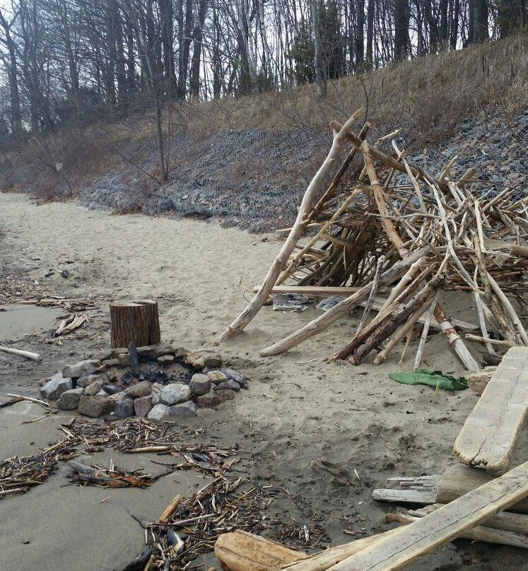Leddy Park-伯灵顿必去景点