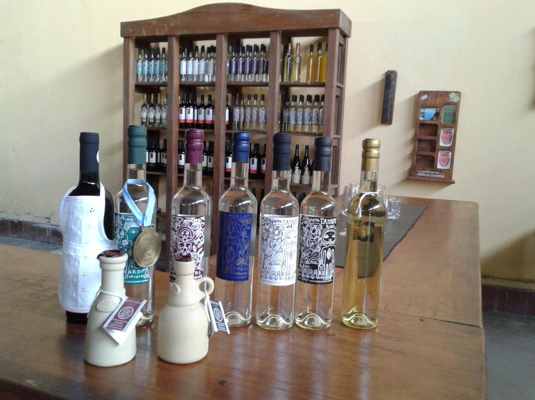 Bernardi Winery-科洛尼亚·德尔萨克拉门托城必去景点