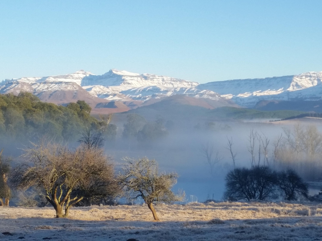 Absolute Polo-安德堡必去景点