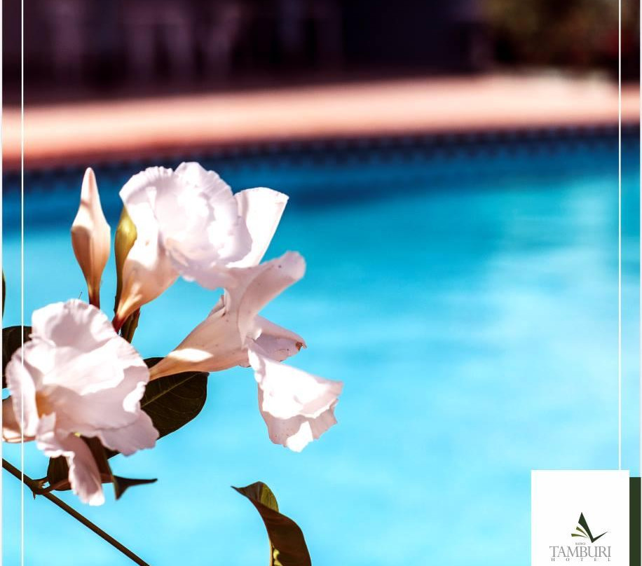 Hotel Novo Tamburi主图