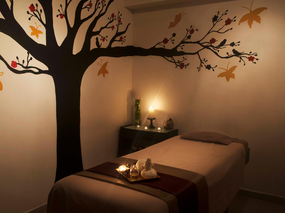 Azuleno Spa-圣佩德罗加尔萨加西亚镇必去景点