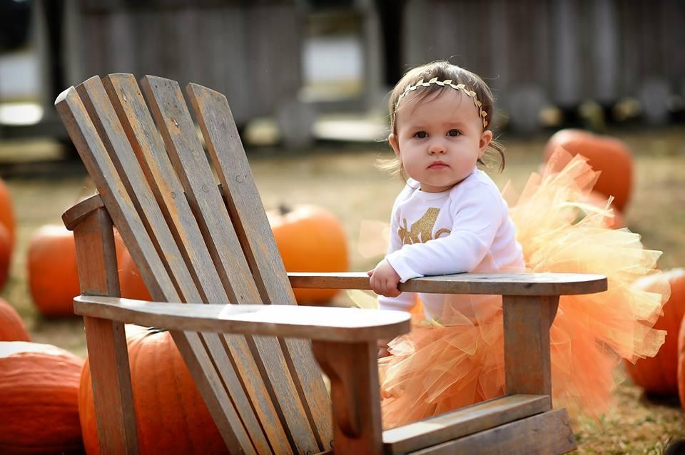 Fulton Farms-Troy必去景点