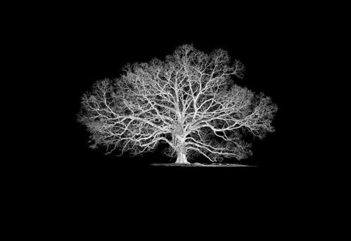 Penderyn Antiques-Penderyn必去景点