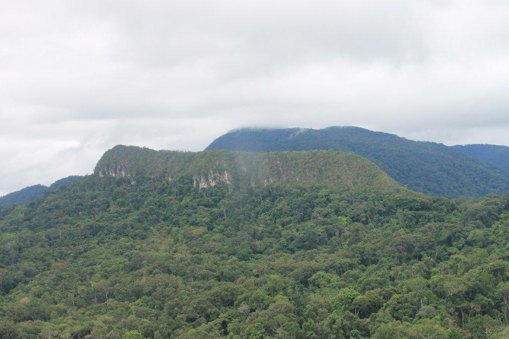 Parque Nacional do Pico da Neblina景点图片