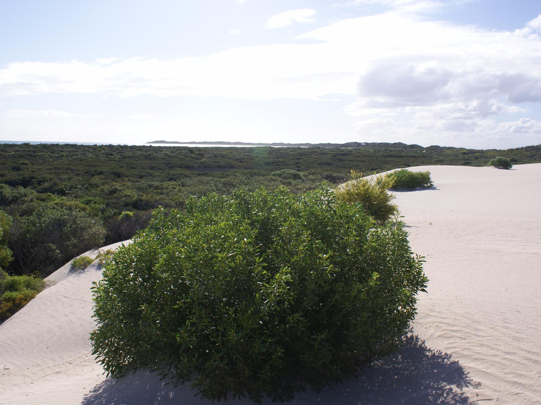 Jurien Bay Marine Park-朱里恩湾必去景点
