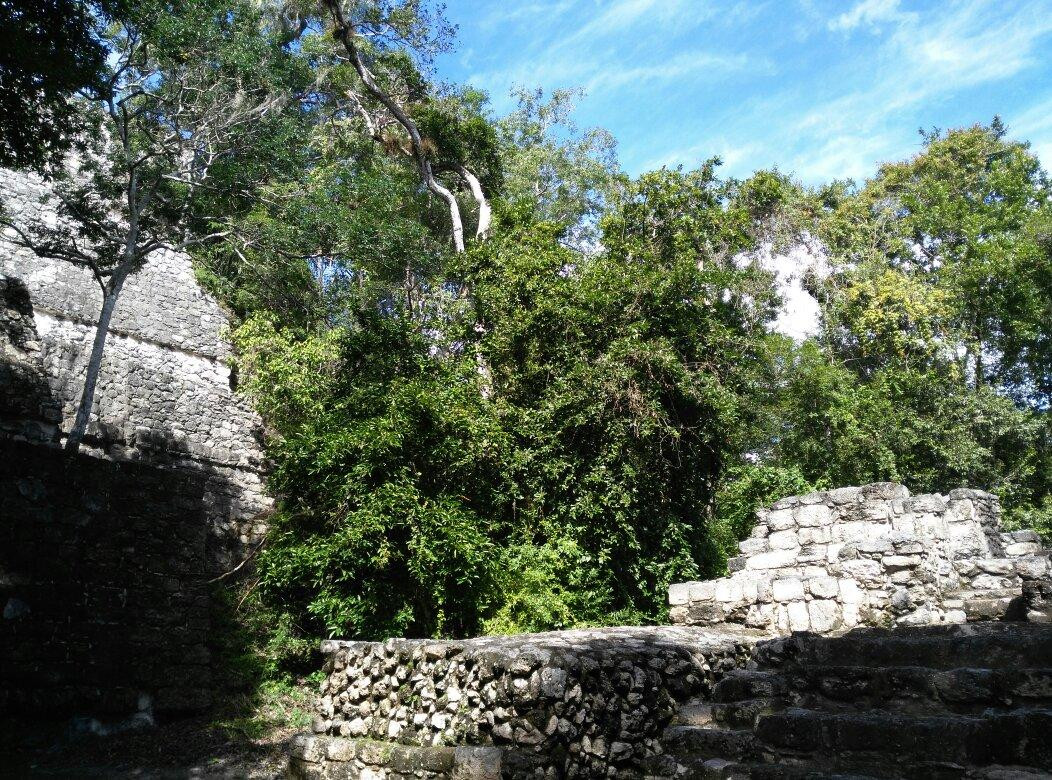 Paraíso Tours-Bacalar必去景点