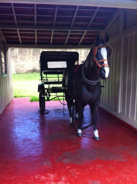 Museu Cesumar-Maringa必去景点