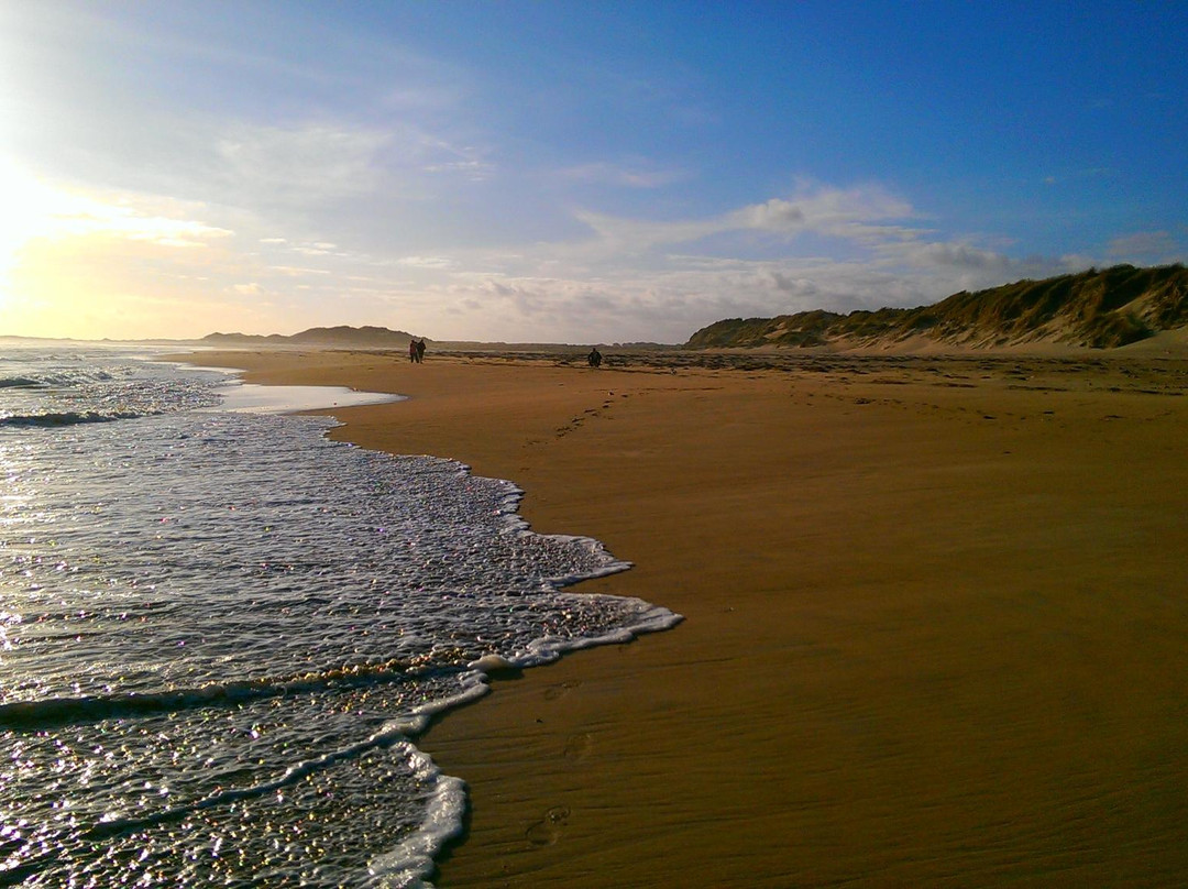 Tower Hill House主图