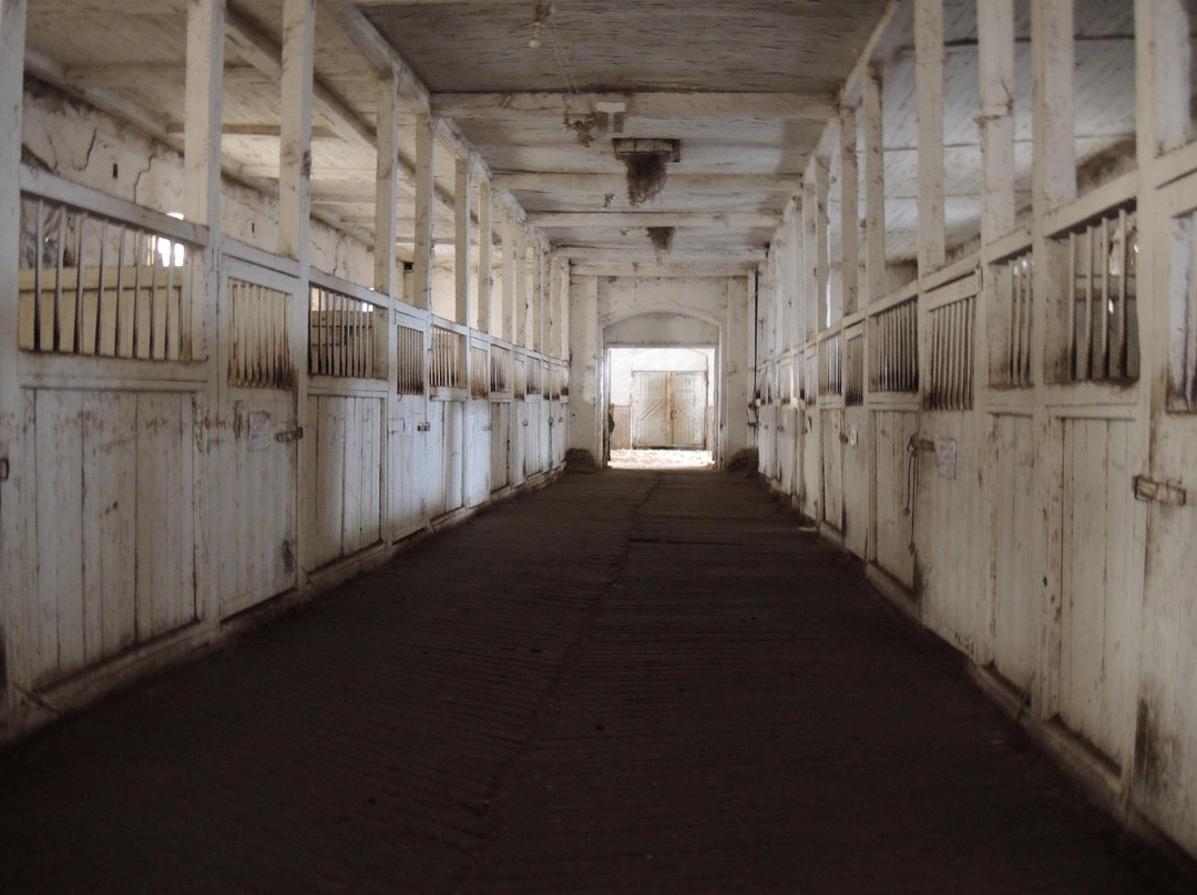 Starozhilovo Stud Farm景点图片