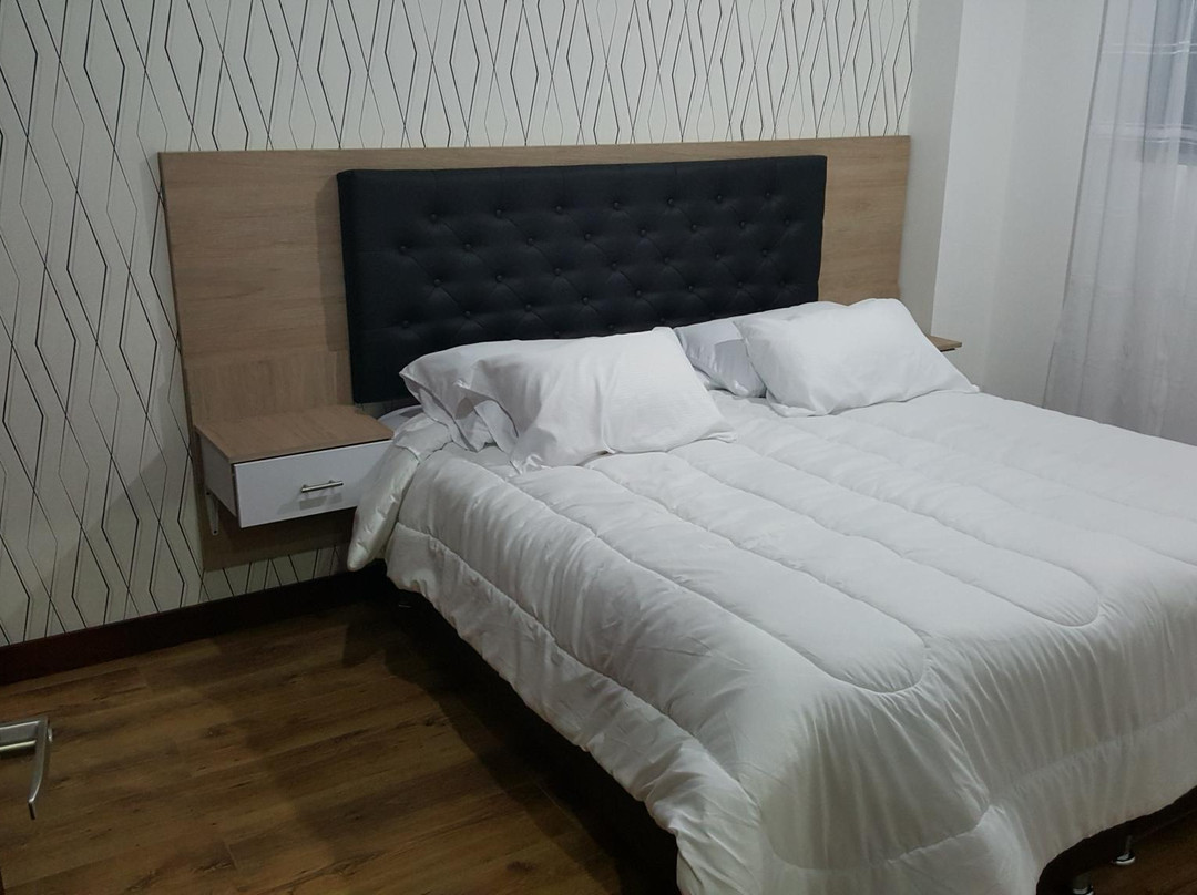 Hotel Suiza Aparta Suites主图