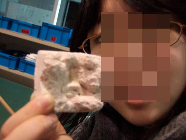 足寄动物化石博物馆-足寄町必去景点