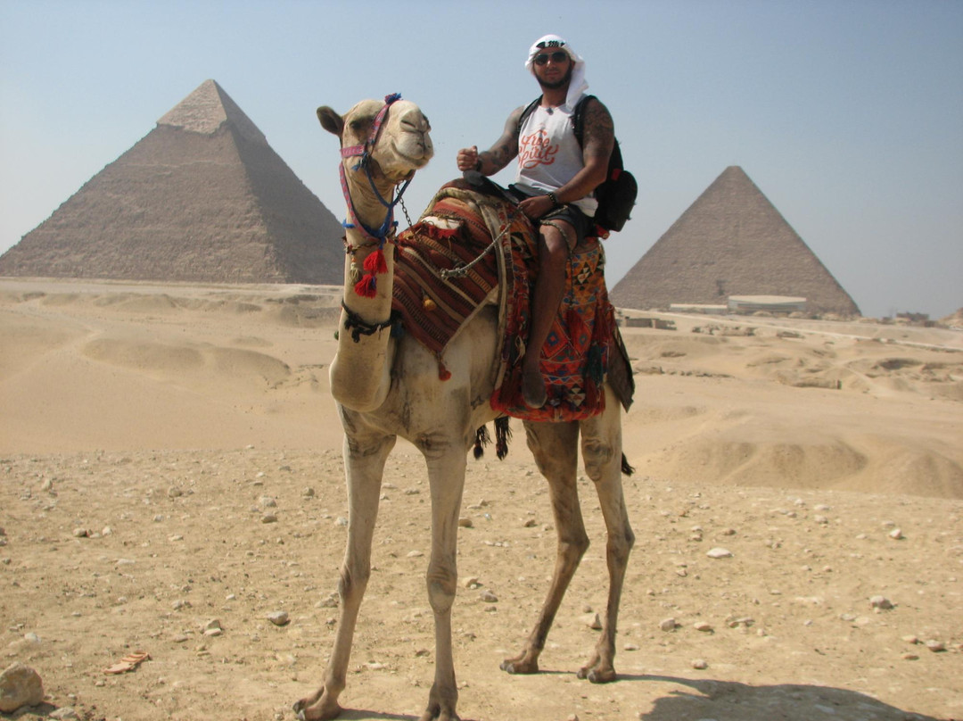 Nature Travel Egypt Tour - Day Tours-努威巴必去景点