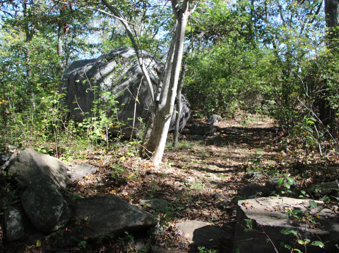 Hannah Robinson Tower-South Kingstown必去景点