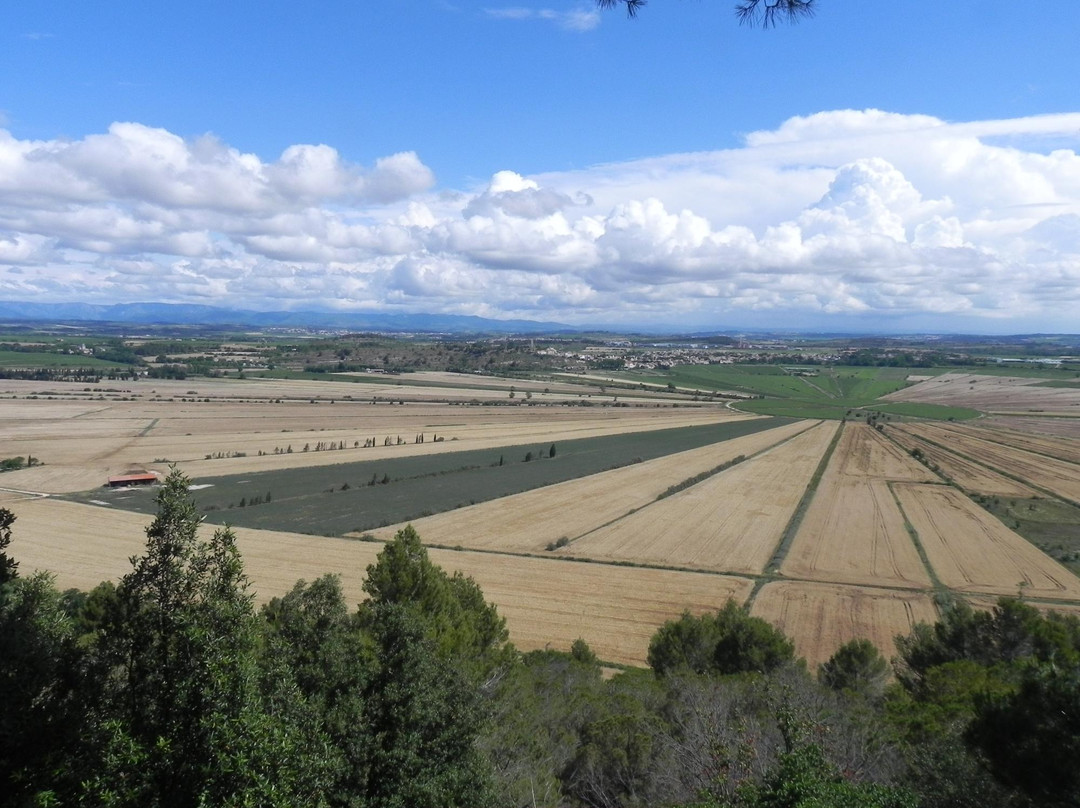 Etang de Montady景点图片