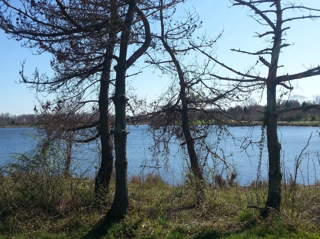 Lake Artemesia-科利奇帕克必去景点