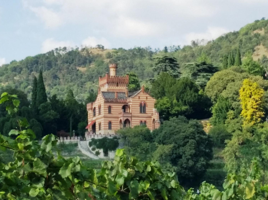 Castello Bonomi景点图片