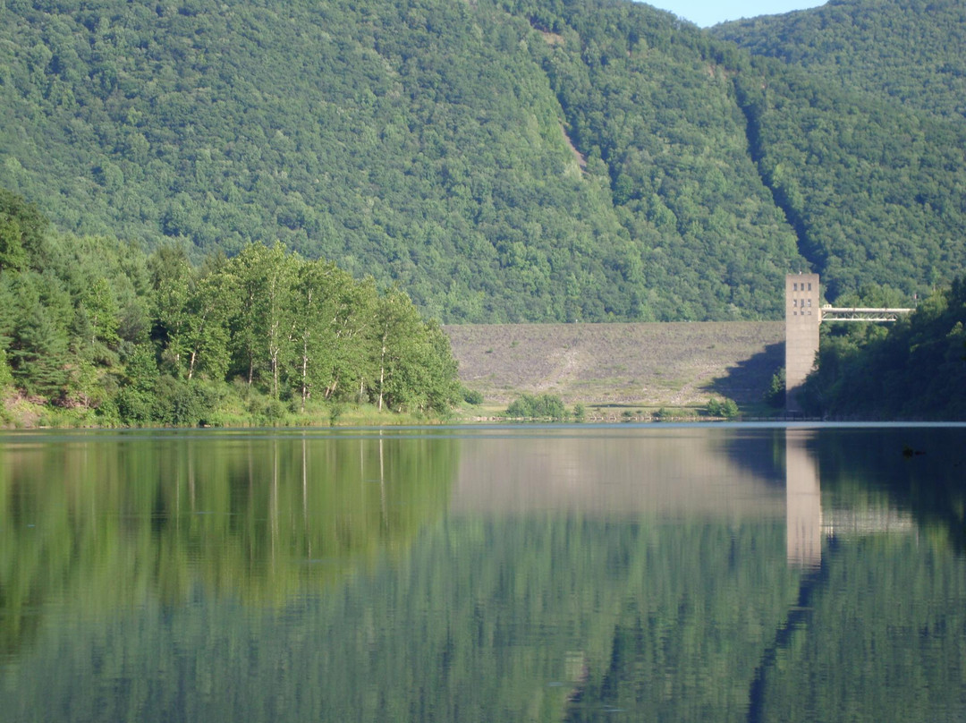 The Wildlife Center at Sinnemahoning State Park景点图片
