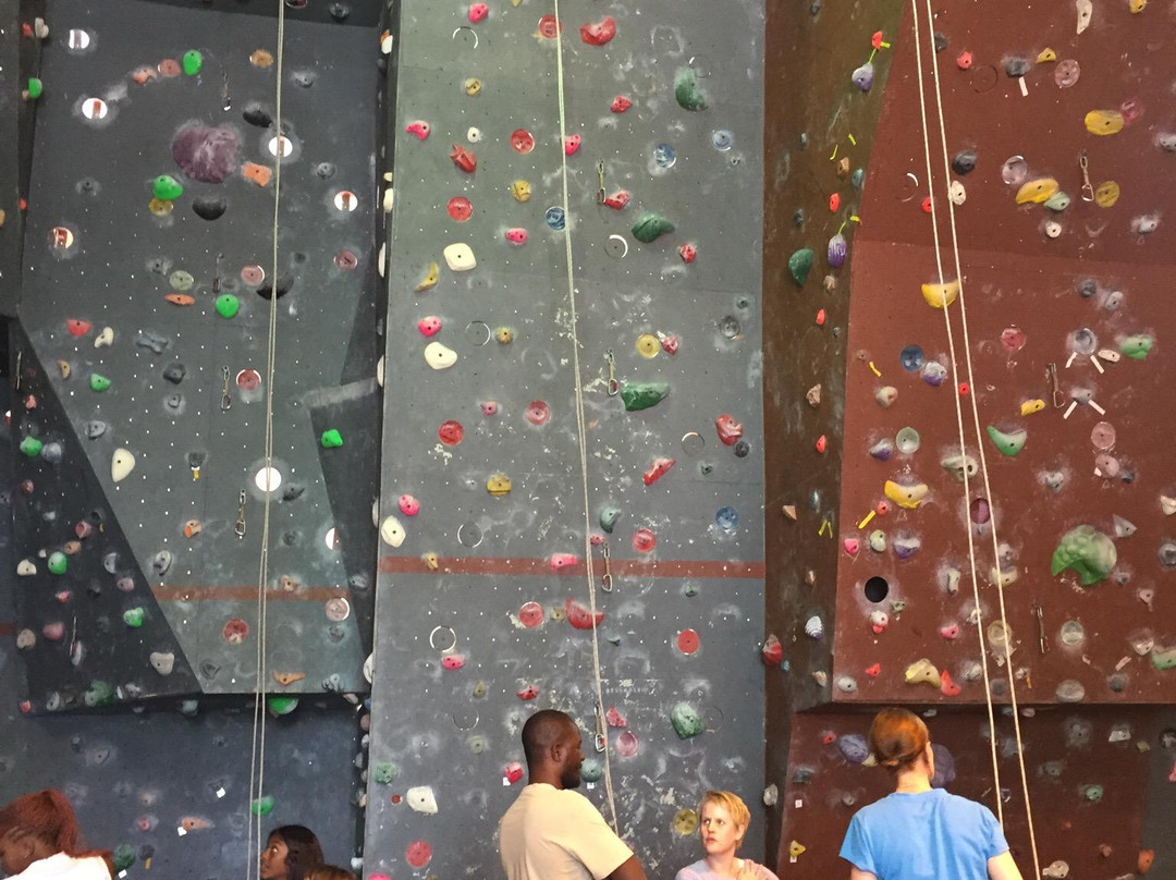 Wonderwall Climbing Gym景点图片