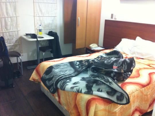 San Borja酒店住宿-Hotel Rosa Toro