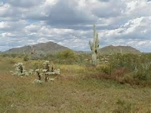 Bootleg Canyon Mountain Bike Trail景点图片